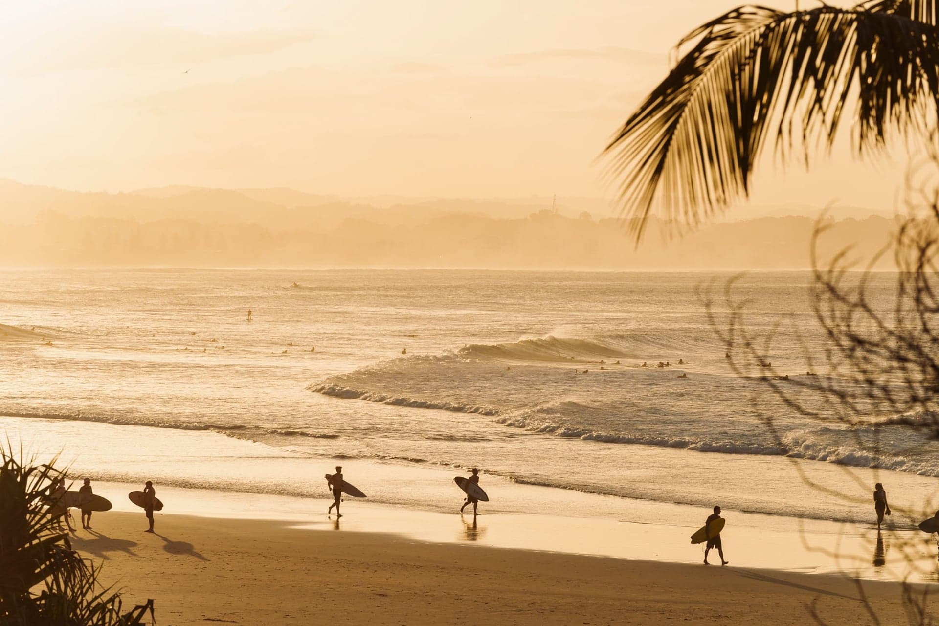 Surfers walking the sand at Coolangatta in golden afternoon light